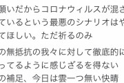 Twitter民「飛行機雲？！ウイルスを撒き散らした跡に違いない！！！」