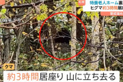 熊がつぎは老人ホームに狙いを定めた模様