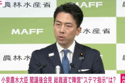 小泉大臣“ステマ指示疑惑”を謝罪「私がもっと強ければ」「私自身も知らなかった」「責任は私」 記者「総裁公選規程に反しているのでは？」と追及