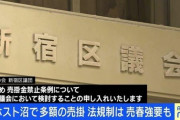 【政治】維新の会、立ちんぼ女子の元凶「ホスト」にメス…なぜか女性団体や既存政党は放置