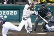 阪神近本マルチ安打！プロ初の打率３割へあきらめん