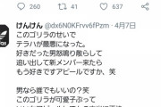 逝去した木村花さんを中傷し続けたアンチ、欅坂46ファンだった・・・