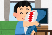 【急募】毎晩サメの抱き枕を抱いて寝ているワイ童貞リーマン（35）に抱く感想