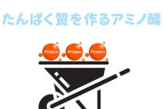 【衝撃】タウリンとかいう栄養素『運動能力上げます、筋力維持します、皮膚のバリア機能守ります、血圧と脂肪下げます』