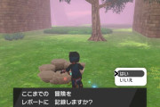 【ポケモン剣盾】ゲームのセーブデータが消えた人がちらほらいる模様…?　セーブデータの「バックアップ」の実装は難しい問題なのか