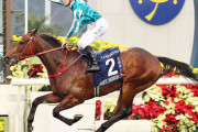 【香港スチュワーズC】香港最強馬3頭が明日ついに激突！
