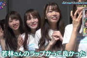 【日向坂46】若林さん、想像以上にガチだったwww