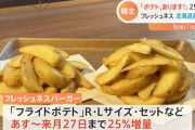 【悲報】マクドナルドからポテトL190円が消えた理由ｗｗｗｗｗｗｗｗｗｗｗ