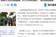 山梨でまた桃5000個盗難　メルカリで桃を大量に売ってる謎の外人は疑われてブチギレ