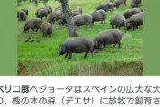 【悲報】キノコを食べる動物、人間とハキリアリしかいない