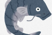 草魚とかいう草を食って2メートルくらいになる謎の魚