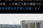 パヨクさん懲りずに次は国民投票改正案抗議ツイート開始ｗｗｗｗｗｗｗｗ 反対する理由がこれｗｗｗｗｗｗ