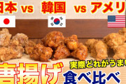 中国人「日本のフライドチキンと韓国のフライドチキンの違いって何？」