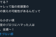 【悲報】ラブライブキャラ、「かいけつゾロリ」オタクを敵に回す発言をして炎上ｗｗｗｗ