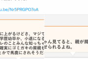 ユーチューバーゆたぼん「学校で何を学んできたんや」誹謗中傷裁判で勝利、2投稿で33万円の勝訴