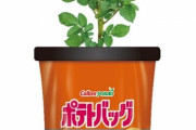 カルビーが袋で育てるじゃがいもの土『ポテトバッグ』を発売！初心者も簡単に栽培が可能