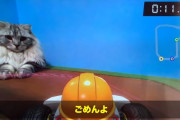 【動画】『マリオカート ライブホームサーキット』猫がいるとさらに楽しいｗｗｗｗ
