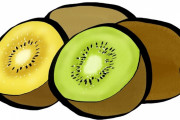 【衝撃】ほぼ毎日キウイフルーツ食うようにした結果ｗｗｗｗｗｗｗｗｗ