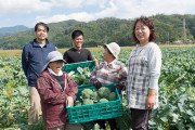 ブロッコリー農家「食べる人にね、美味しいと思って貰いたいからね」