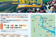 【確定版】12球団2020キャンプ初日観衆
