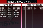 日本ハムファイターズ、指名した8人の内5人が高卒投手