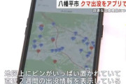 クマ対策アプリ「ベアーズ」登場　クマ出没をアプリで共有　迅速な注意喚起につなげる