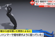 【画像】飯能市のハンマー男、殺し方がガチでやばい