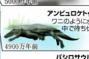 クジラがほんの1000万年くらいで海に適応できたのってすごくない？？？