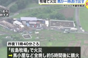 【悲報】日高の馬小屋で火事　三頭が逃げ遅れた模様・・・
