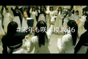 櫻坂46「今年も応援ありがとうございました」年末のスペシャルCMが放送！【そこ曲がったら、櫻坂？】