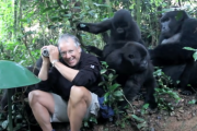 危険過ぎます！ 野生のゴリラと柵のない森で触れ合う動画  海外の反応