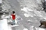 【動画】お猿さん、女の子を誘拐未遂し路地に引きずり込もうとする