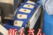 【動画】新人さん、おにぎり工場の梅干し係配属決定！鬼の12時間勤務開始へwwwwwwwwwwwwwwww