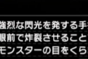 【MHR:SB】飛ばないモンスター相手でも閃光投げまくってる人多い？【モンハンライズ：サンブレイク】