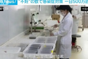 【中国】不妊もたらす蚊を“大量生産”…感染症対策