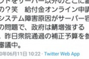 丸山穂高「蓮舫はサーバーは増やすんじゃなくてクラウドですよとかいってるし国会ってIT系弱すぎ笑」