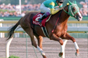 三大日本競走馬の悲劇　サイレンススズカ、シンボリインディ、あとは?