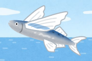 【画像】  魚が空飛んでるんだがあ！！！
