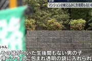 京都府長岡京市のマンションの植え込みで生後間もない赤ちゃんが見つかる　へその緒が付いたままの状態