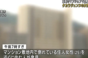 【宝塚歌劇団】タカラジェンヌの自殺、西村ひろゆき「文春で報じられていたイジメの被害者も25歳･･･」本日の公演中止「複数の体調不良者」