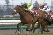 里見オーナーの３歳牡馬が豪華だと話題に
