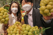韓国人「現在、韓国で販売されたブドウが日本で大騒ぎになっている理由」