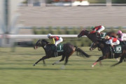 【競馬/ファンタジーS】ミスエルテ出遅れて完勝ｗｗｗｗｗｗ
