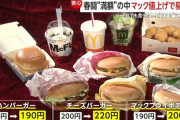 【物価高】「正直受け入れてない」マクドナルド値上げに嘆きの声…クーポン駆使し“200円昼食”の節約術も　「準都心店」は価格割安でお得感！