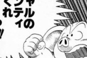 【ドラゴンボール】神龍がウーロンに与えたギャルのパンティは誰のなのか？？？