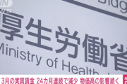 【悲報】実質賃金、24カ月連続マイナス…ありがとう自民党