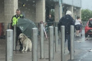 雨の中、飼い主を外で待つ犬に傘を差しかけ続けた警備員（イギリス）