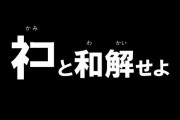 【恐怖】ネコの攻撃で飛行機が緊急着陸余儀なくされる事態に！にゃんてことを・・・