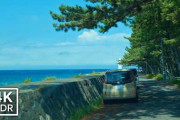亀石峠から西伊豆・戸田へ　山道の先に広がる海と諸口神社を追う4Kドライブ動画