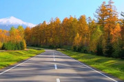 日本「君達の国で最も美しい道路はどんな感じか教えてほしい」